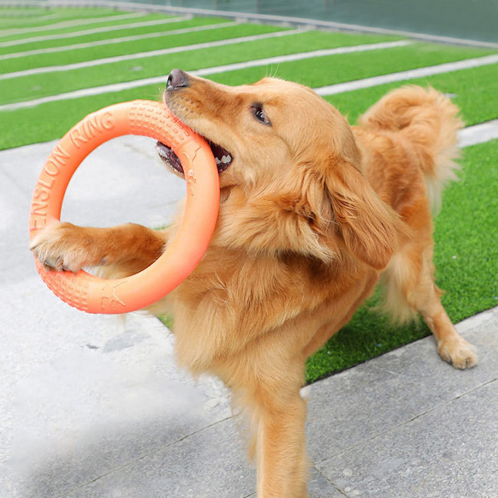1 шт., рычаг-экшн для обучения – обзор и цена Flying Disc Dog Training Toy
