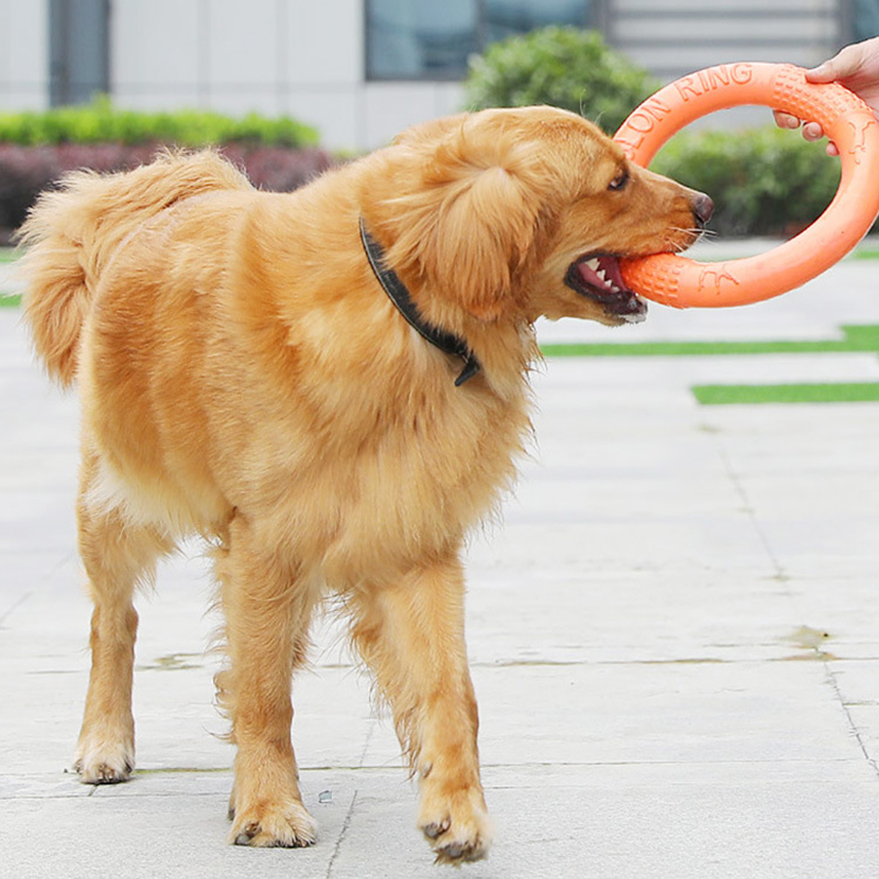 1 шт., рычаг-экшн для обучения – обзор и цена Flying Disc Dog Training Toy