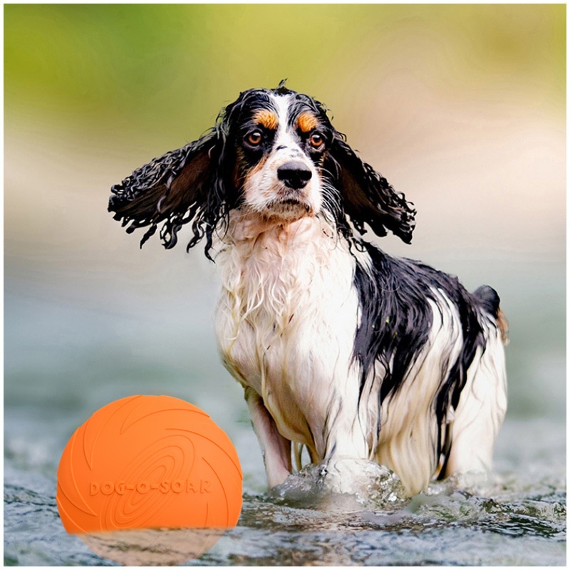 Интерактивная силиконовая игру – обзор и цена Flying Disc Dog Training Toy