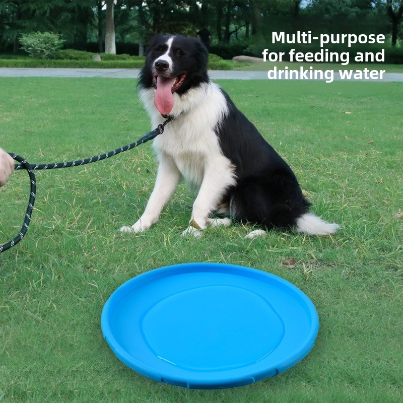 Многоцветная игрушка для собак – обзор и цена Flying Disc Dog Training Toy